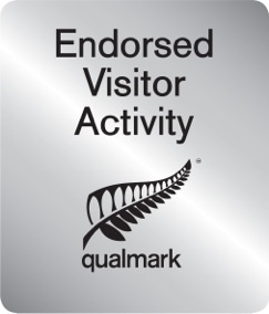 Qualmark Logo